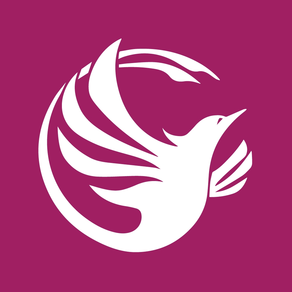 Phoenix Virtual Solutions logo