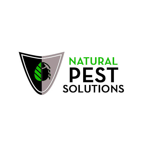 best-pest-control-company-San-Tan-Valley-AZ