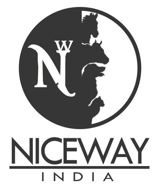 niceway profile